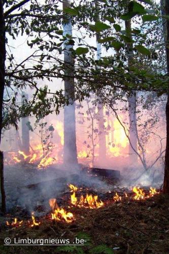 Foto Gasflessen ontploffen in bos - fotoverslag (3 juli 2009)
